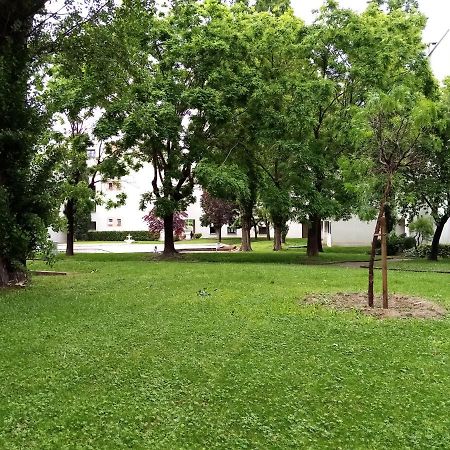 Chambre Double Greg En Colocation Монпелие Екстериор снимка